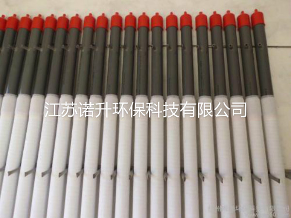 1602120621838977.jpg 2.jpg